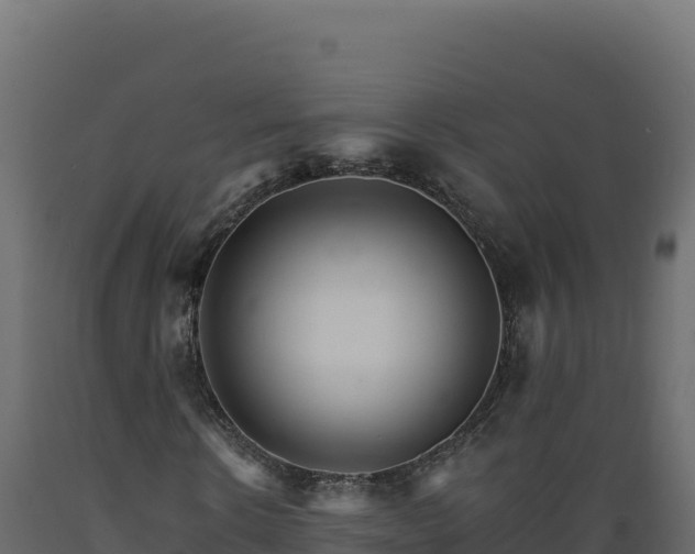 X0000089940914200707061057