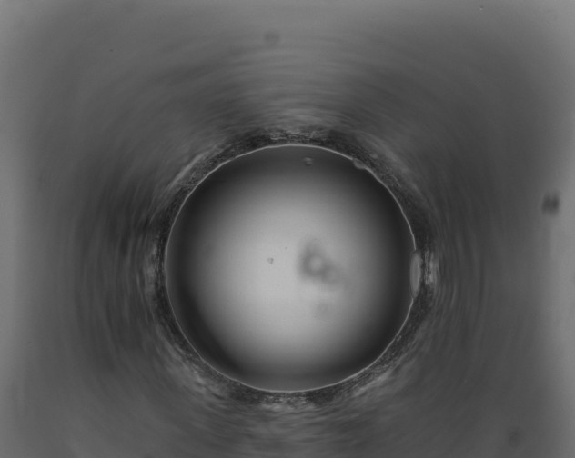 X0000089940915200707061057