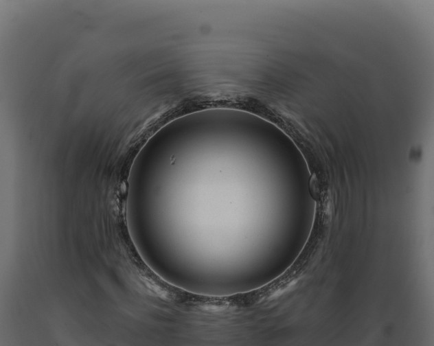 X0000089940916200707061057