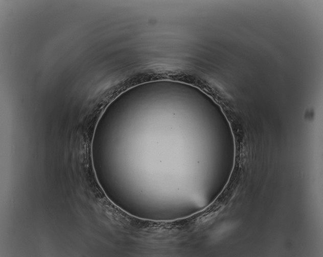 X0000089940917200707061057