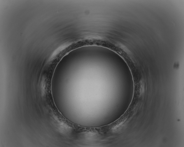 X0000089940919200707061057