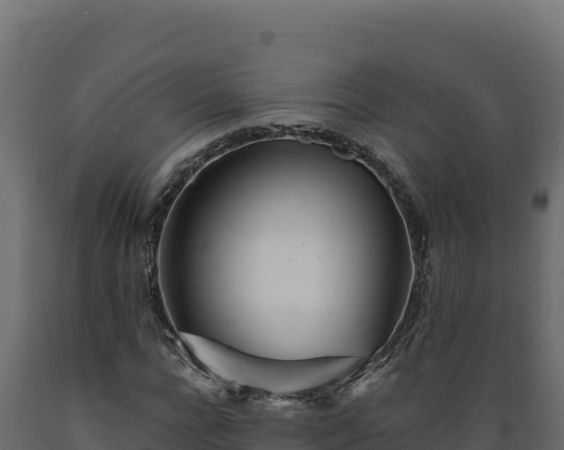 X0000089940920200707061057