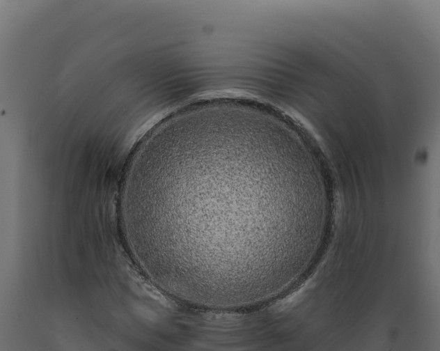 X0000089940921200707061057