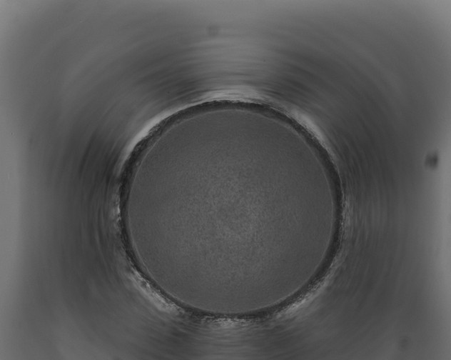 X0000089940923200707061057