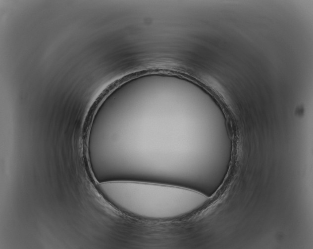 X0000089940924200707061057