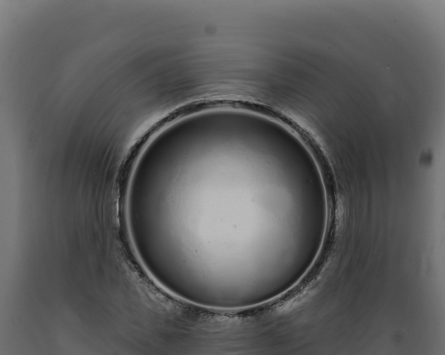 X0000089940925200707061057