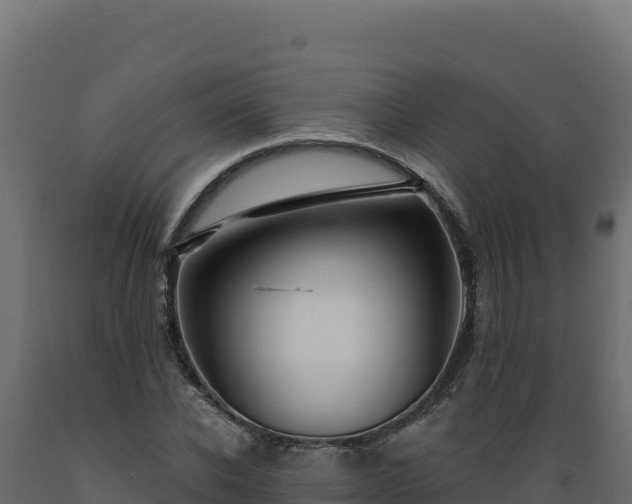 X0000089940926200707061057