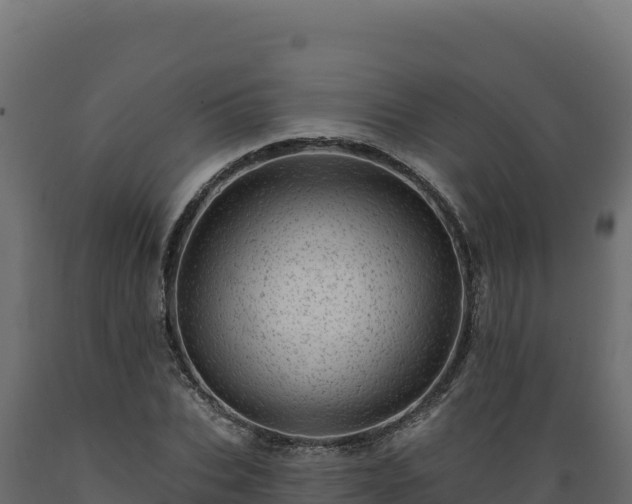 X0000089940927200707061057