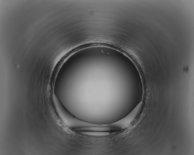 X0000089940928200707061057