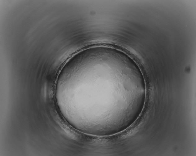 X0000089940929200707061057