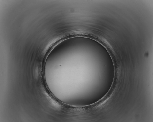 X0000089940930200707061057