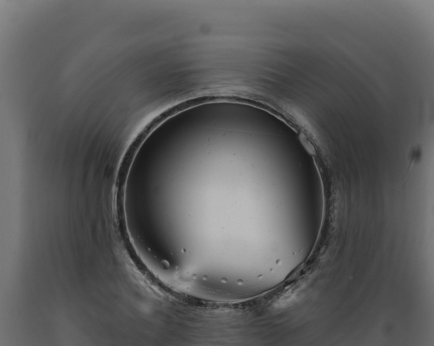 X0000089940932200707061057