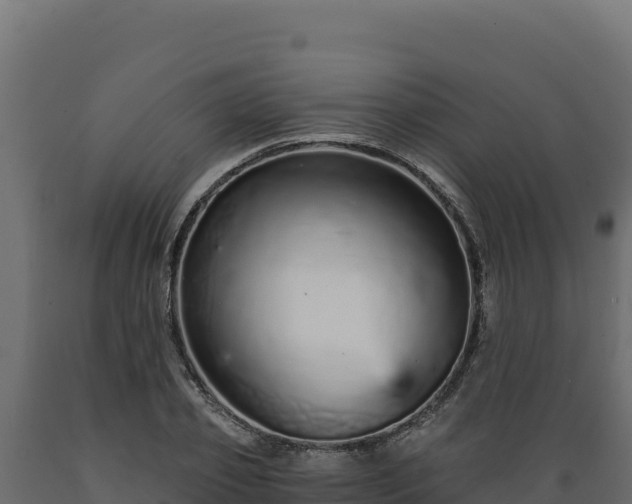 X0000089940933200707061057