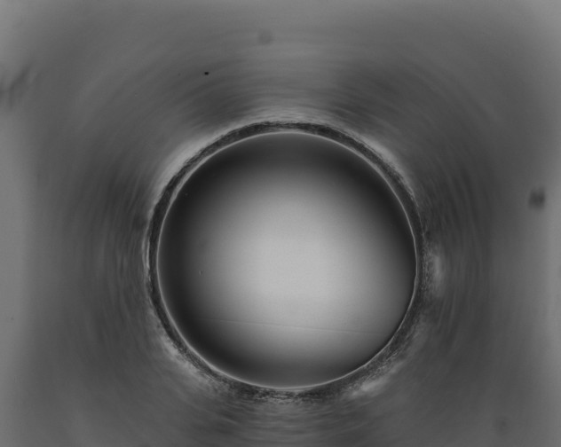 X0000089940935200707061057