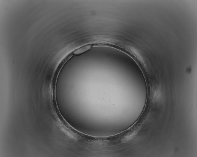 X0000089940936200707061057