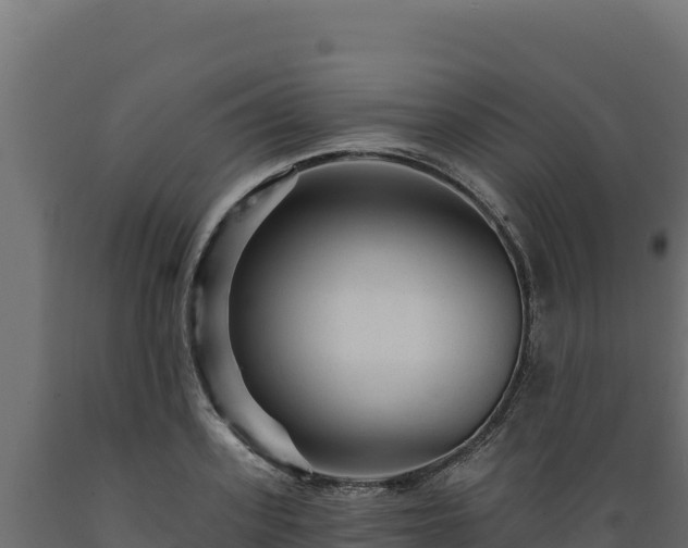 X0000089940939200707061057