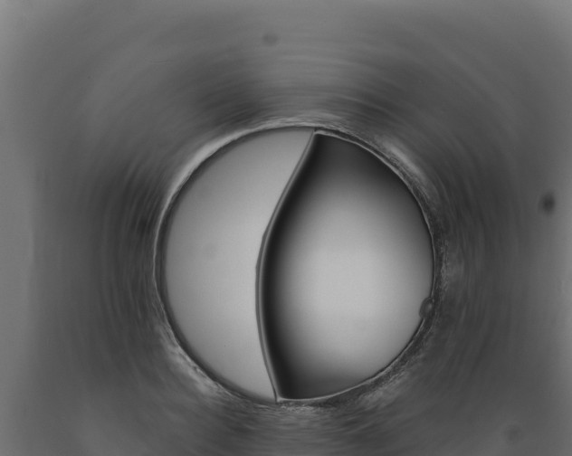 X0000089940940200707061057