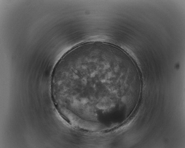 X0000089940941200707061057