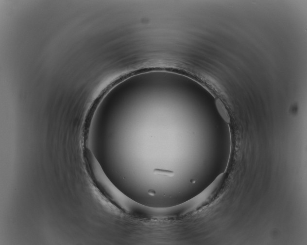 X0000089940942200707061057