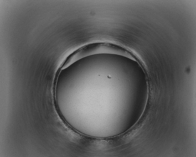 X0000089940943200707061057