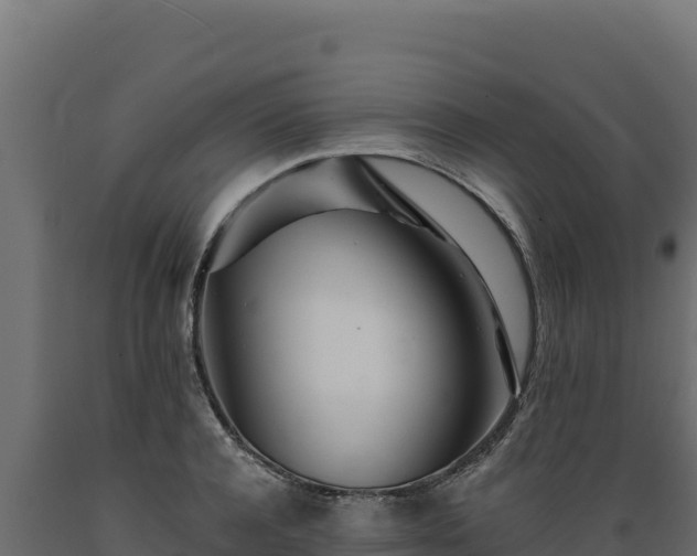 X0000089940944200707061057