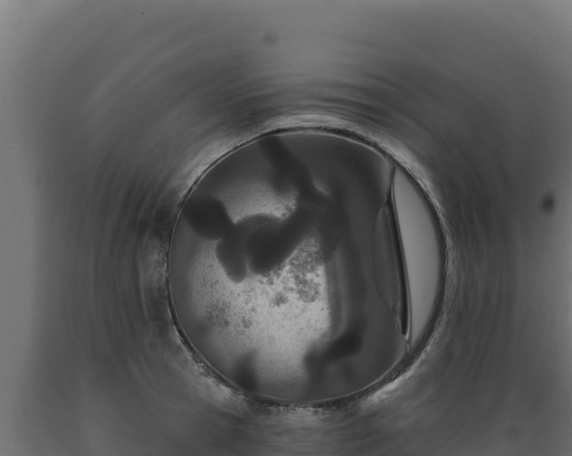 X0000089940945200707061057