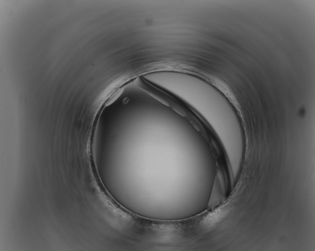 X0000089940946200707061057