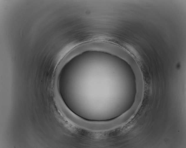 X0000089940948200707061057