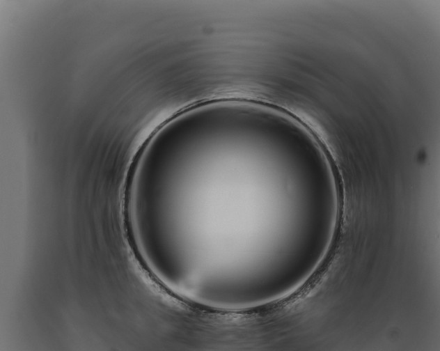 X0000089940949200707061057