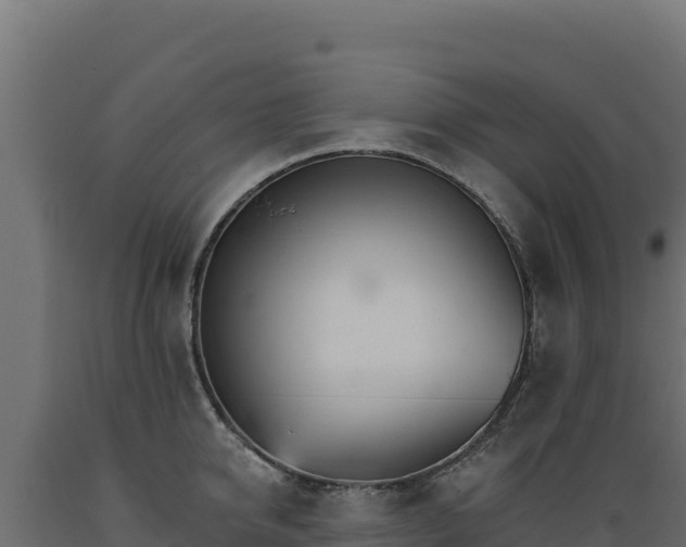 X0000089940950200707061057