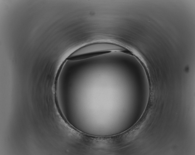 X0000089940951200707061057