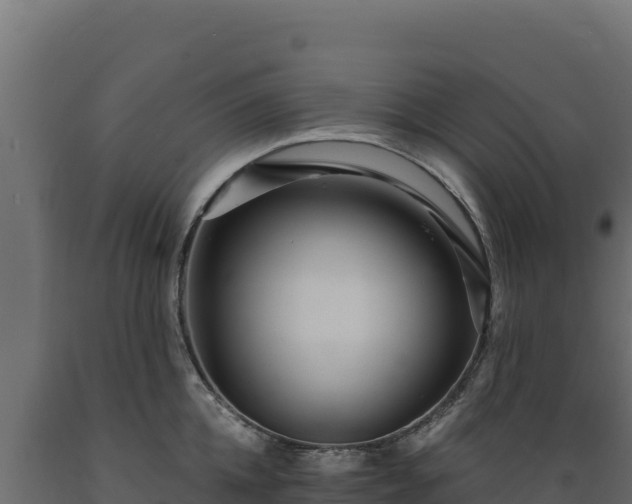 X0000089940952200707061057