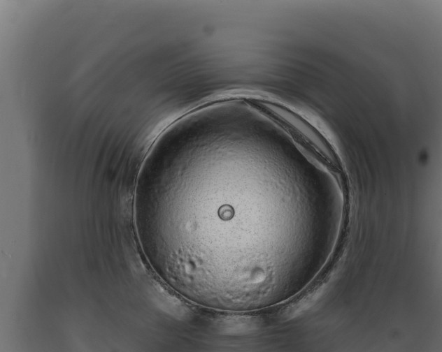 X0000089940953200707061057