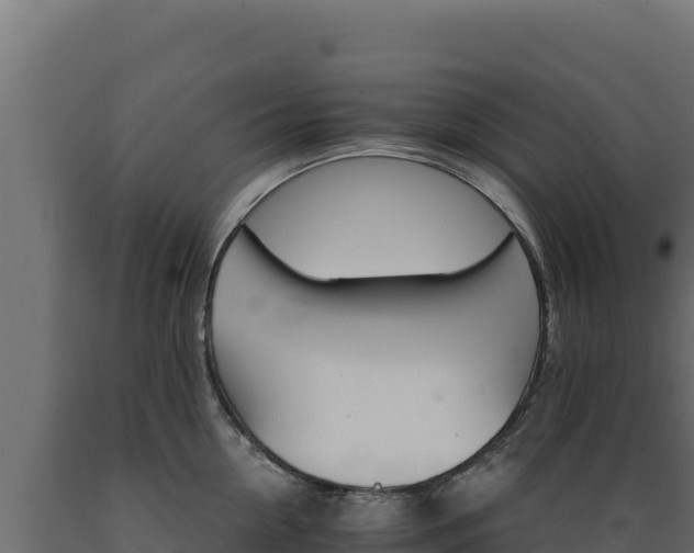 X0000089940954200707061057