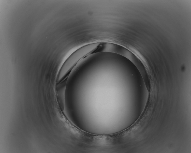 X0000089940956200707061057