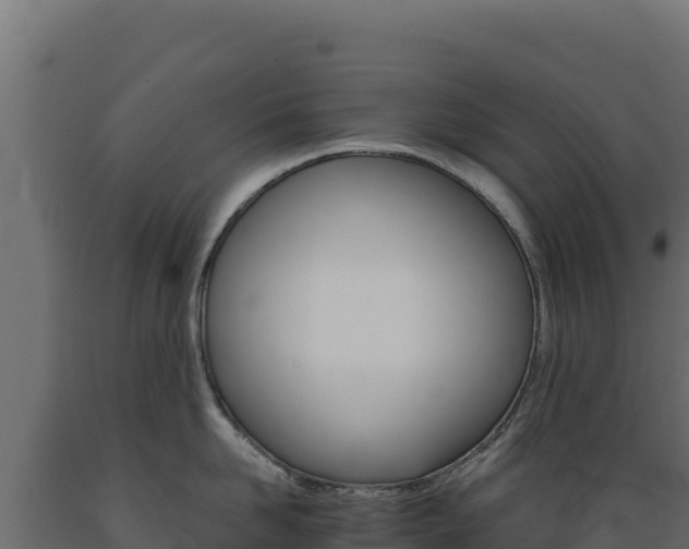 X0000089940958200707061057