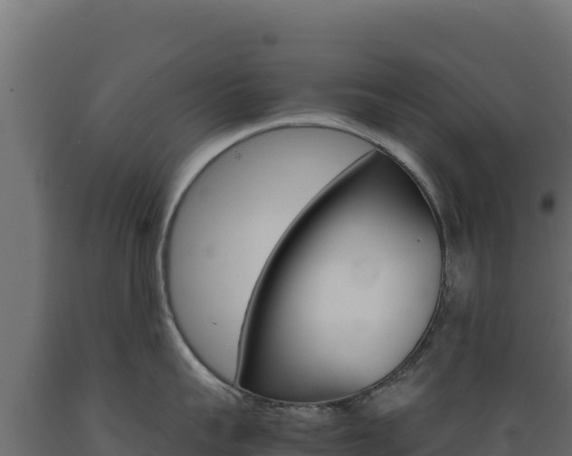 X0000089940959200707061058