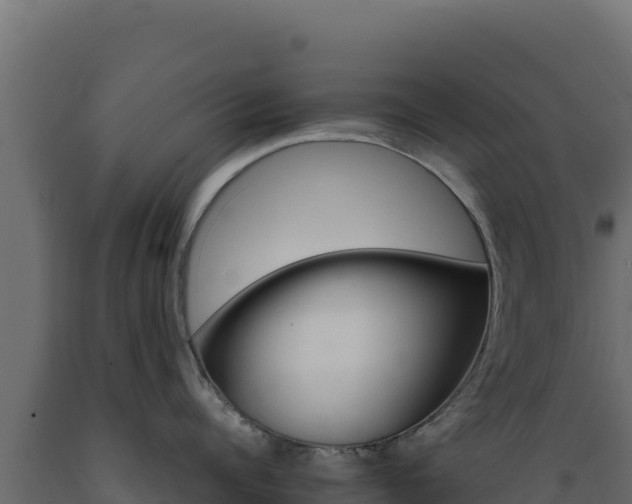 X0000089940960200707061058