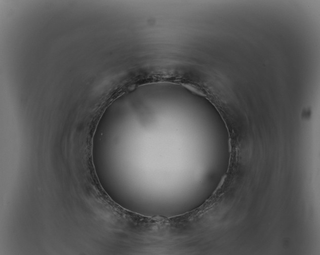 X0000089940961200707061057