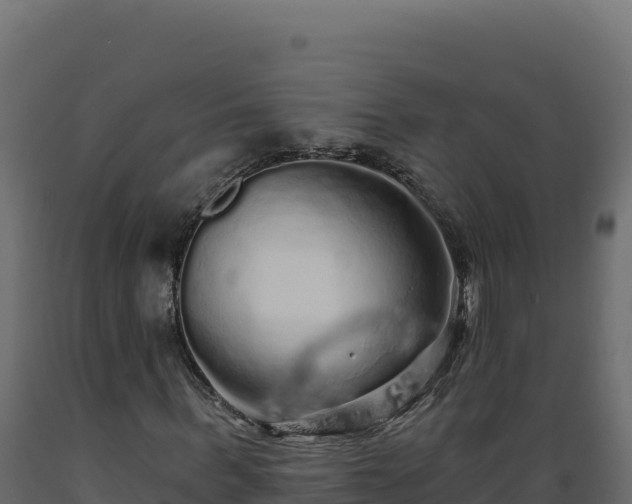 X0000089940963200707061057