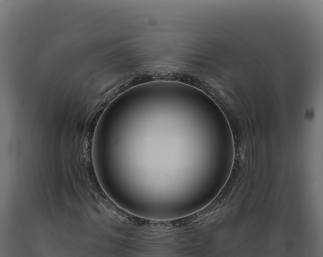 X0000089940964200707061057