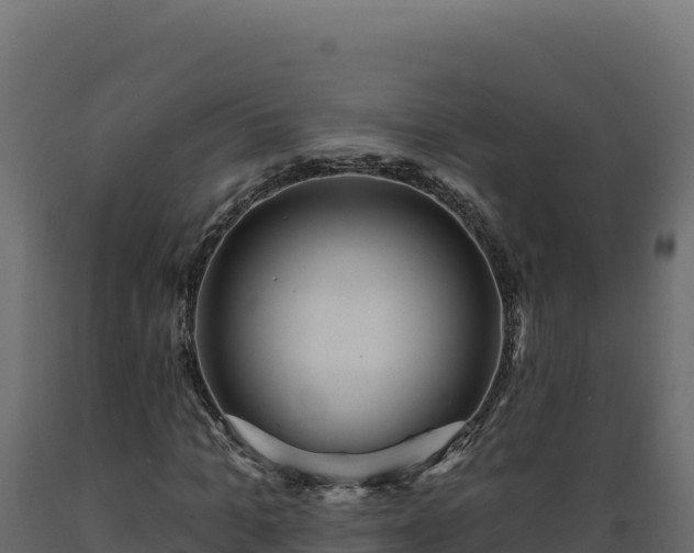 X0000089940965200707061057