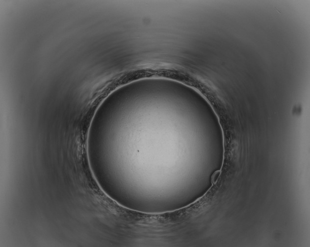 X0000089940966200707061057