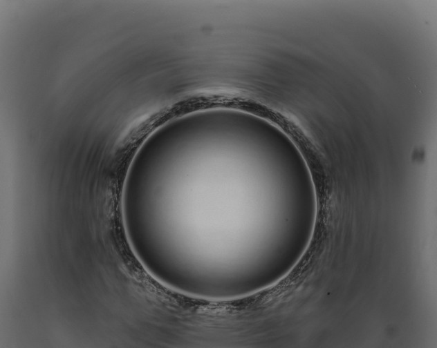 X0000089940967200707061057