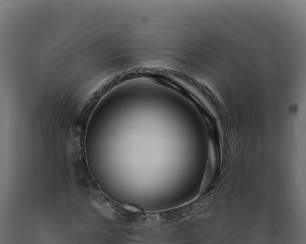 X0000089940968200707061057