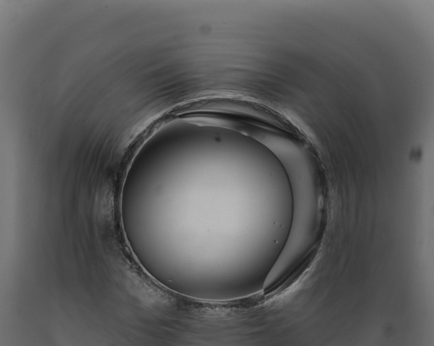 X0000089940969200707061057