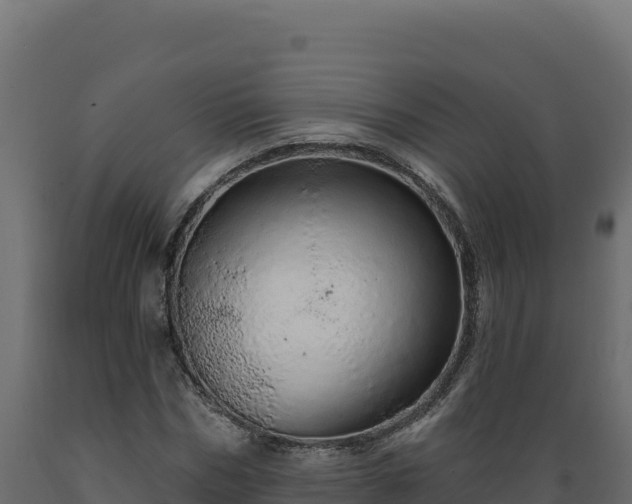 X0000089940970200707061057