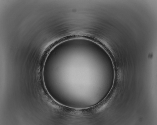 X0000089940971200707061057