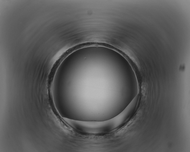 X0000089940972200707061057