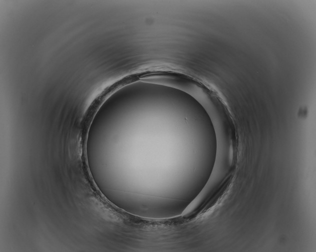 X0000089940973200707061057